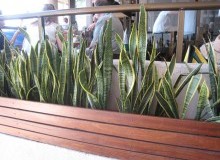 Kwikfynd Indoor Planting
greencreek