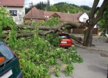 Kwikfynd Tree Cutting Services
greencreek