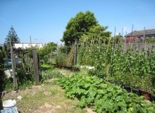 Kwikfynd Vegetable Gardens
greencreek